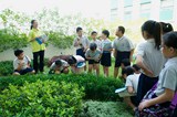 Science Open Day
