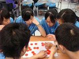 Mathematics Summer Camp