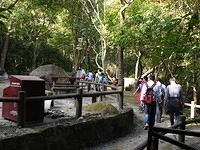 P1180805
