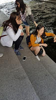 KoreaStudTour09