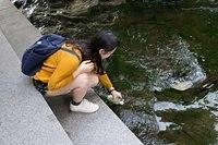 KoreaStudTour12