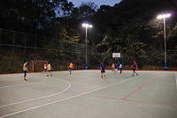 DSC 5253