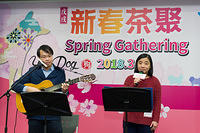 Performances