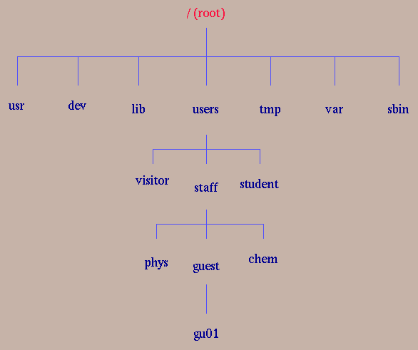 Introduction to LINUX
